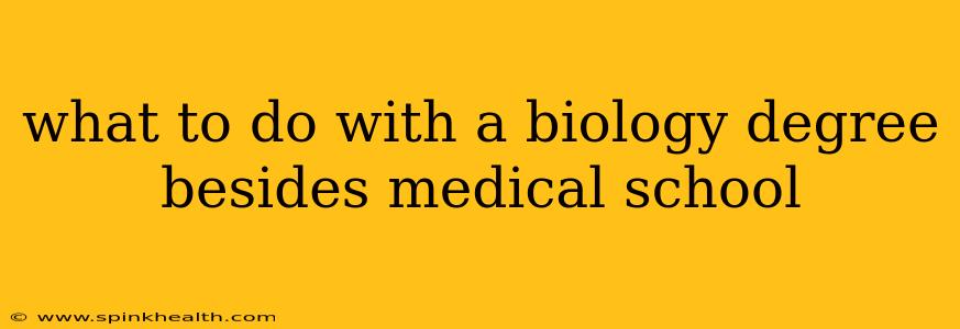 what to do with a biology degree besides medical school