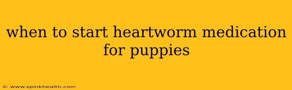 when to start heartworm medication for puppies