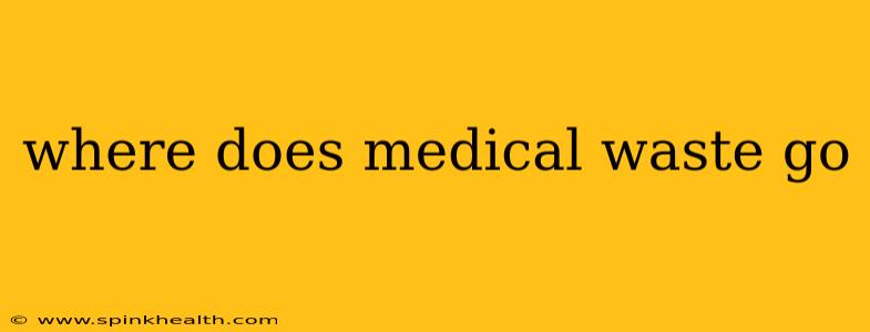 where does medical waste go