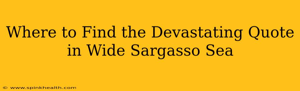 Where to Find the Devastating Quote in Wide Sargasso Sea