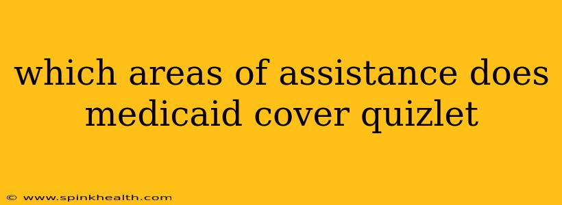 which areas of assistance does medicaid cover quizlet