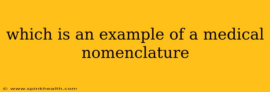 which is an example of a medical nomenclature