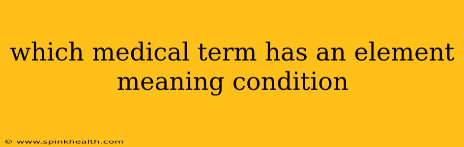 which medical term has an element meaning condition