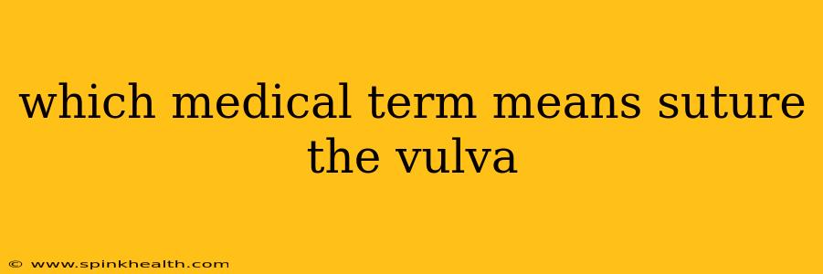 which medical term means suture the vulva