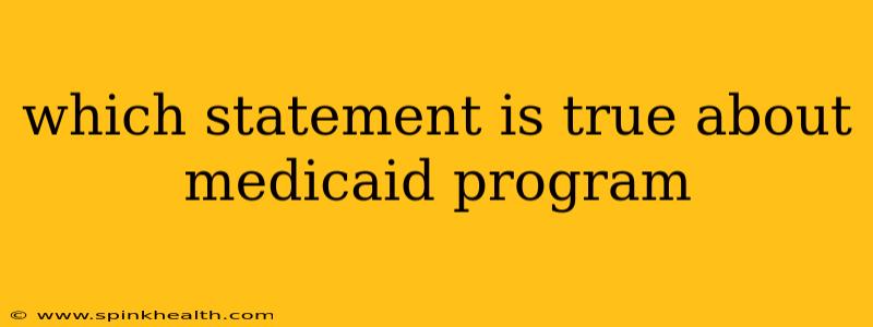which statement is true about medicaid program