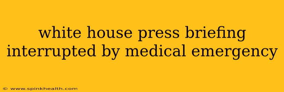 white house press briefing interrupted by medical emergency