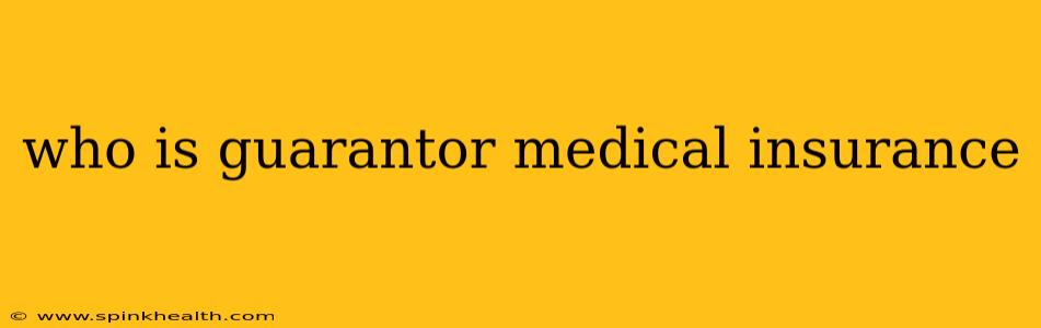 who is guarantor medical insurance
