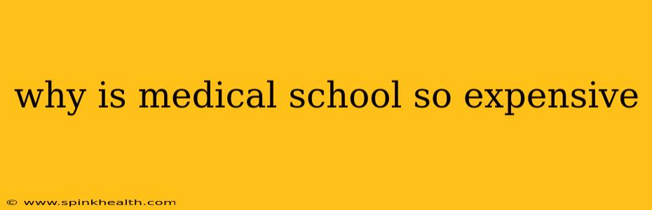 why is medical school so expensive