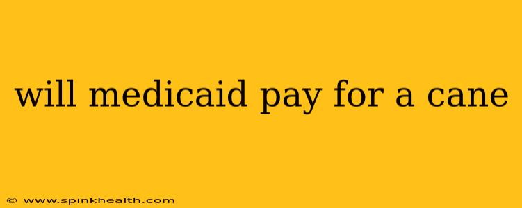 will medicaid pay for a cane