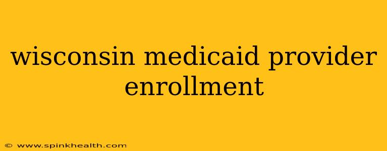 wisconsin medicaid provider enrollment