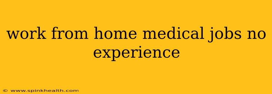 work from home medical jobs no experience