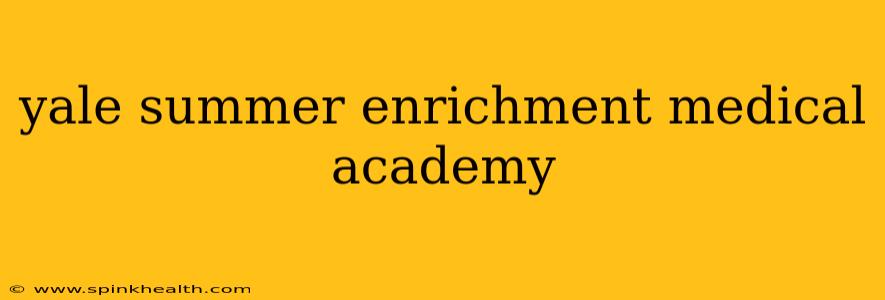 yale summer enrichment medical academy